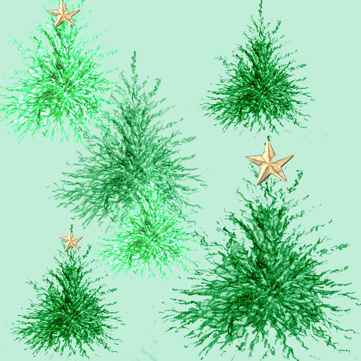 Star Trees by Anna Platts