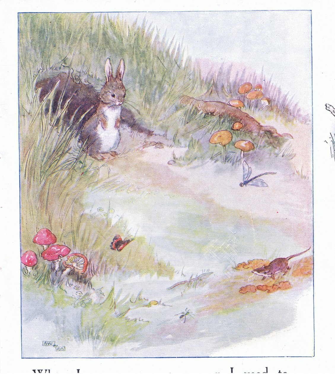 When I Was Very, Very Young by Anne Anderson