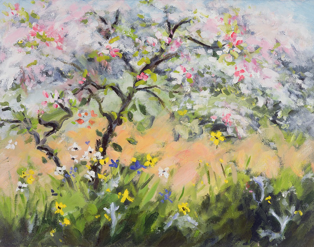 Spring Blossom by Anne Durham
