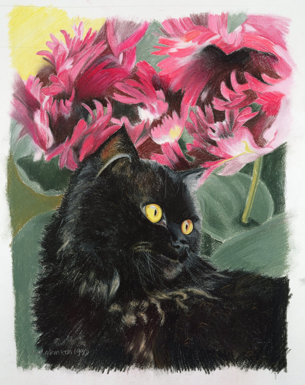 Black Tulips by Anne Robinson