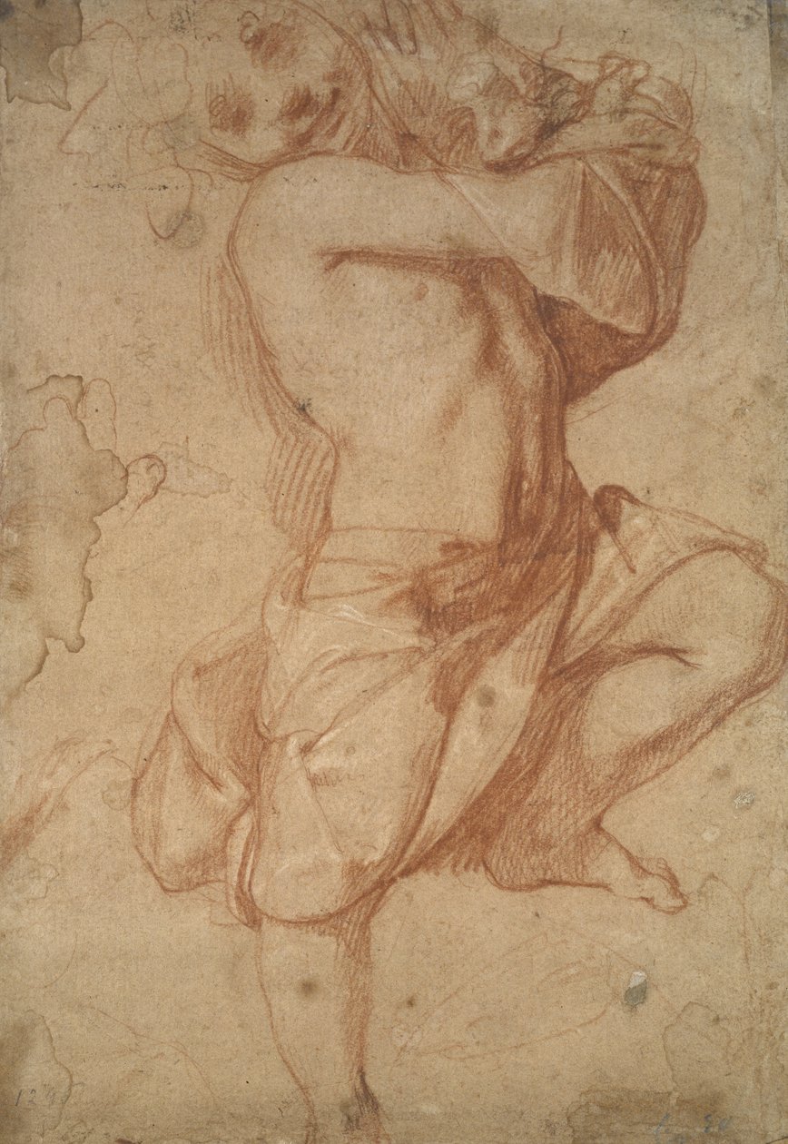 Semi-Nude Boy by Annibale Carracci