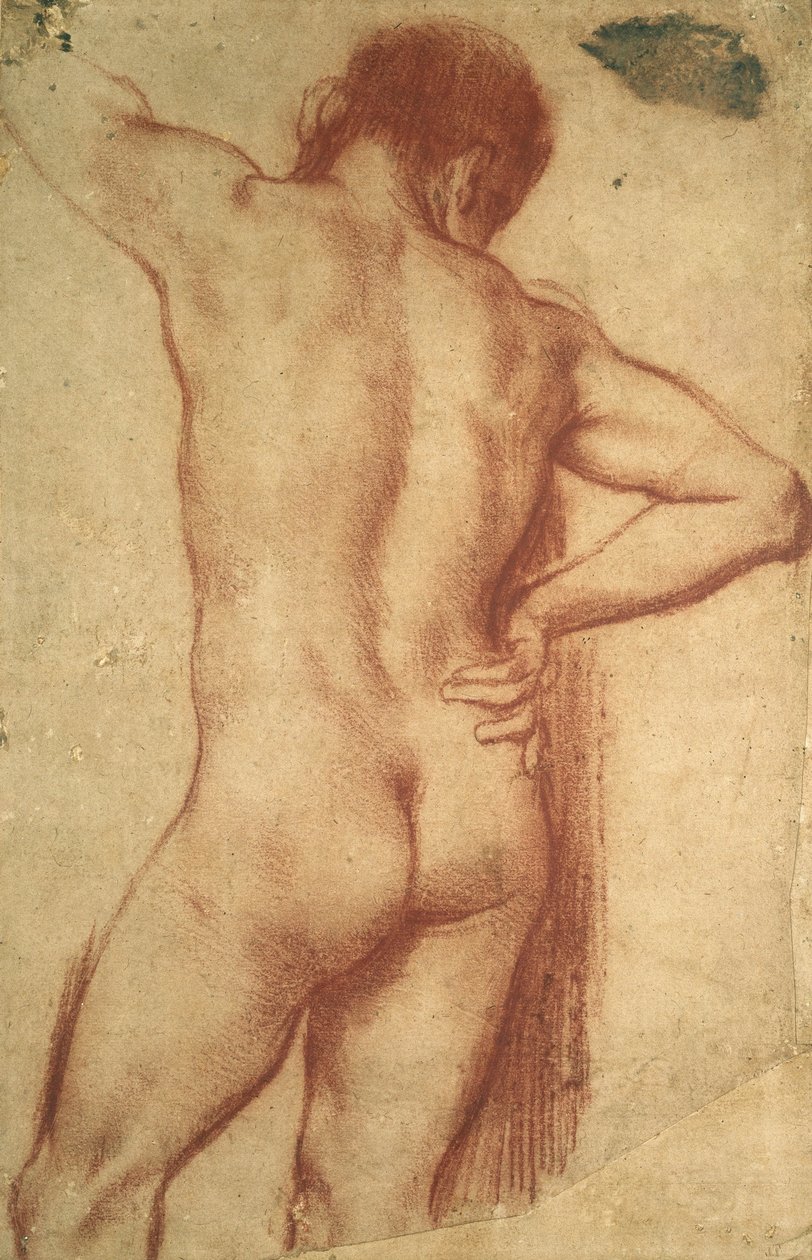 Study of a Nude Man by Annibale Carracci