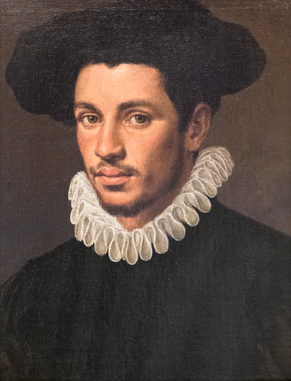 Portrait of a Young Man by Annibale Carracci