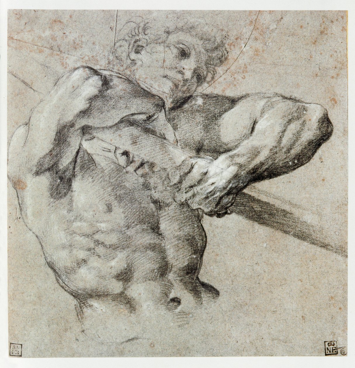 Study of a Male Figure by Annibale Carracci