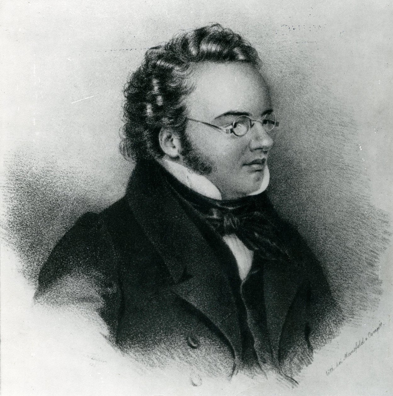 Portrait of Franz Schubert by Unbekannt Unbekannt