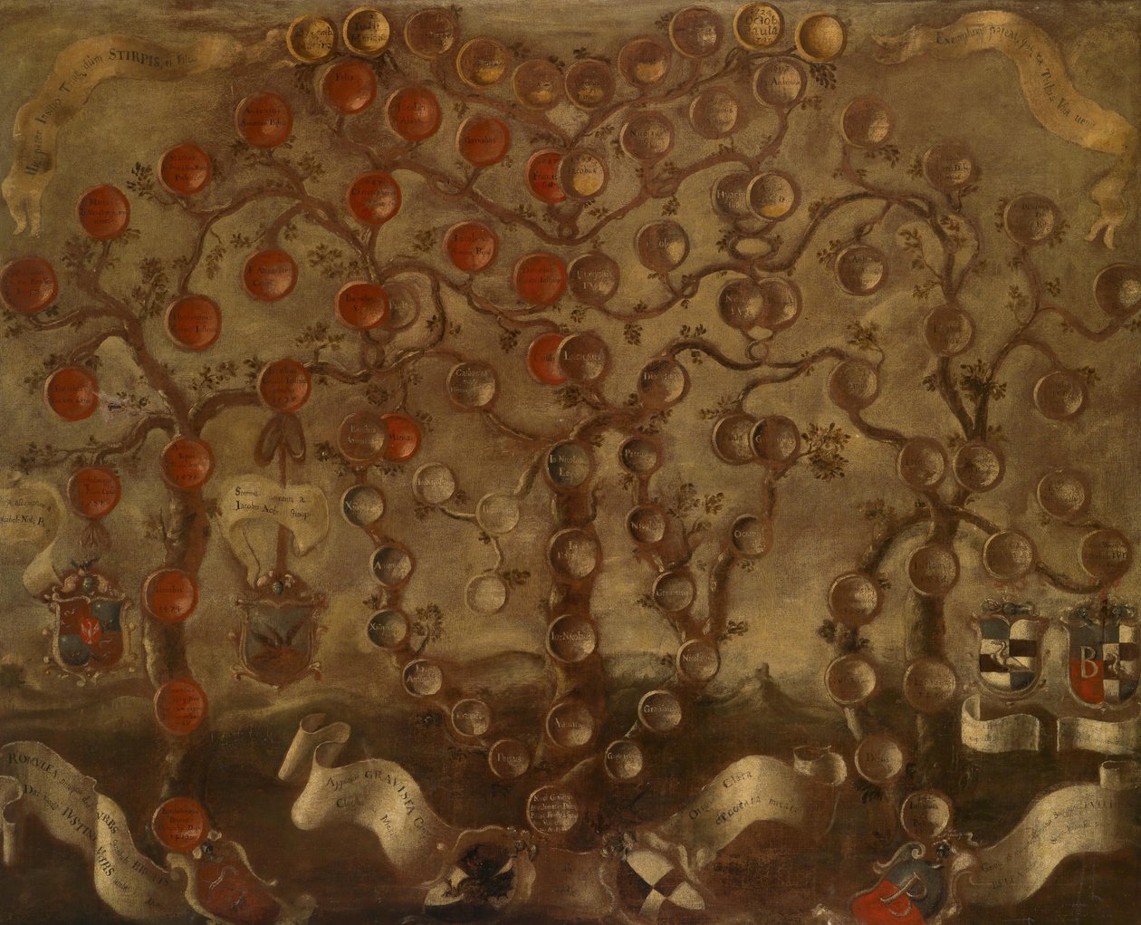 Family Tree of the Counts of Gravisi from Capodistria by Anonymous