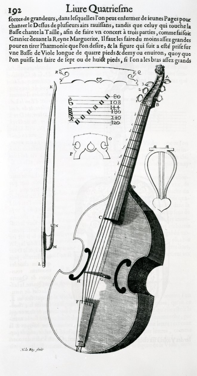 Viola by Unbekannt Unbekannt