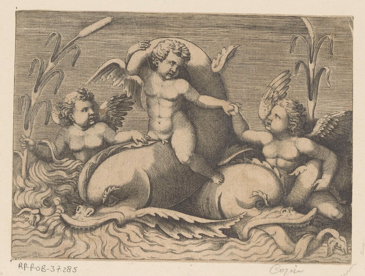 Three Putti with Dolphins by Anonymous
