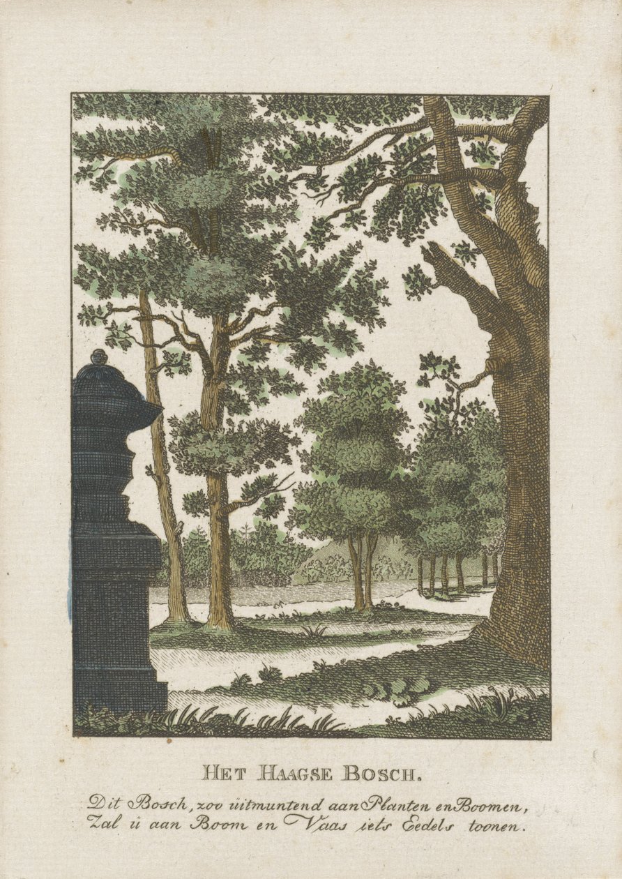 Haagse Bos by Anonymous