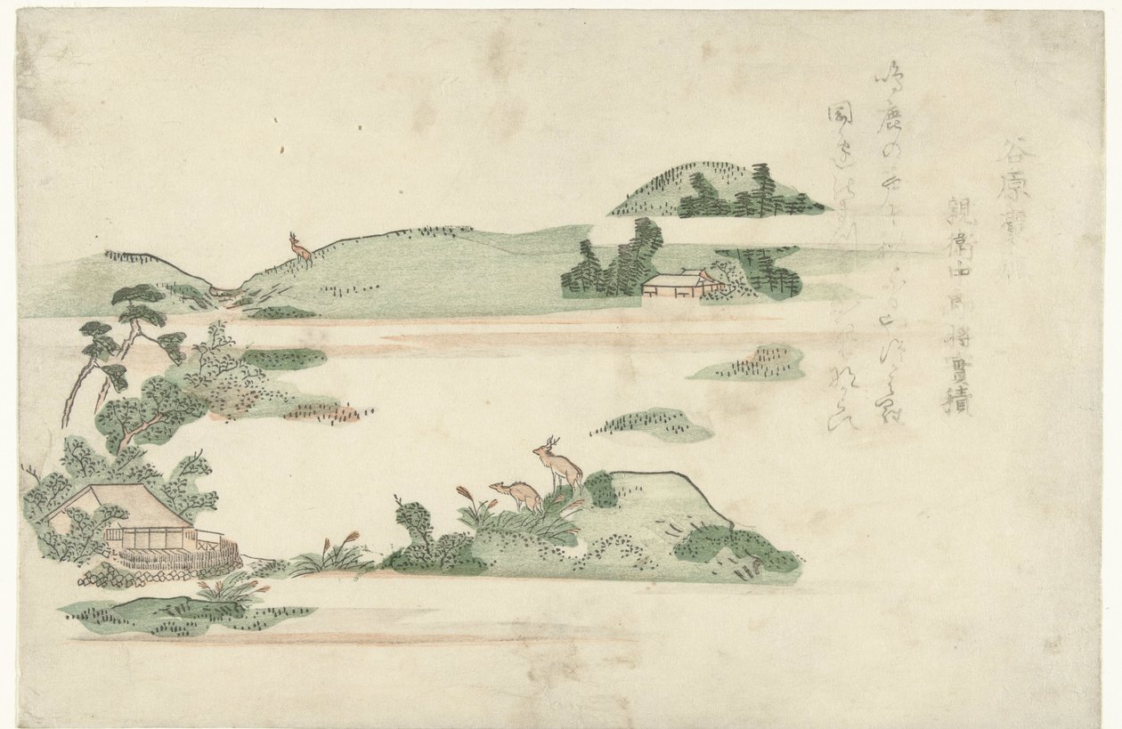 Deer at Taniwara by Anonymous