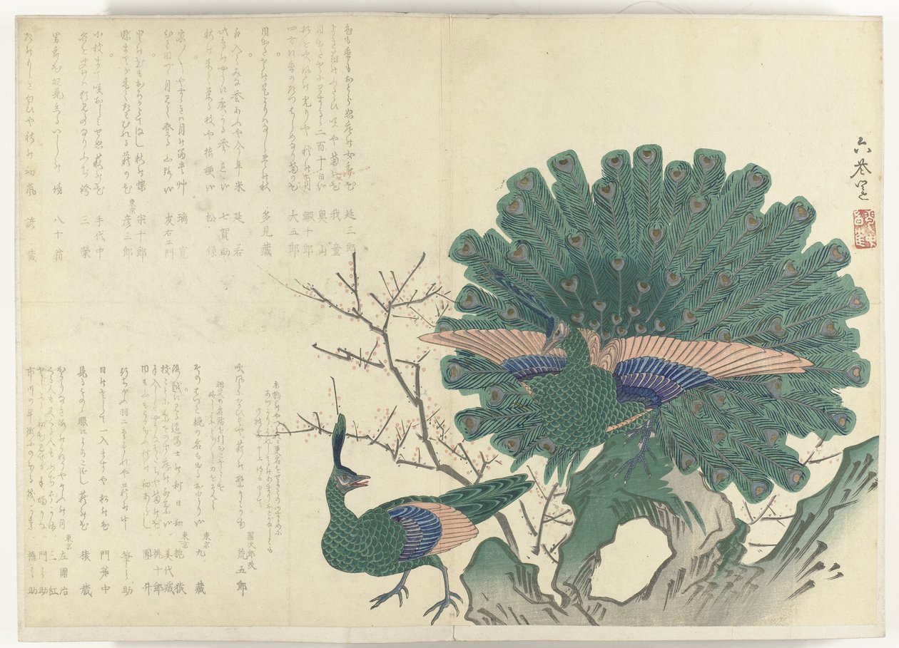 Peacocks (series title: Album Shijo-surimono from the period 1840-1900) by Anonymous