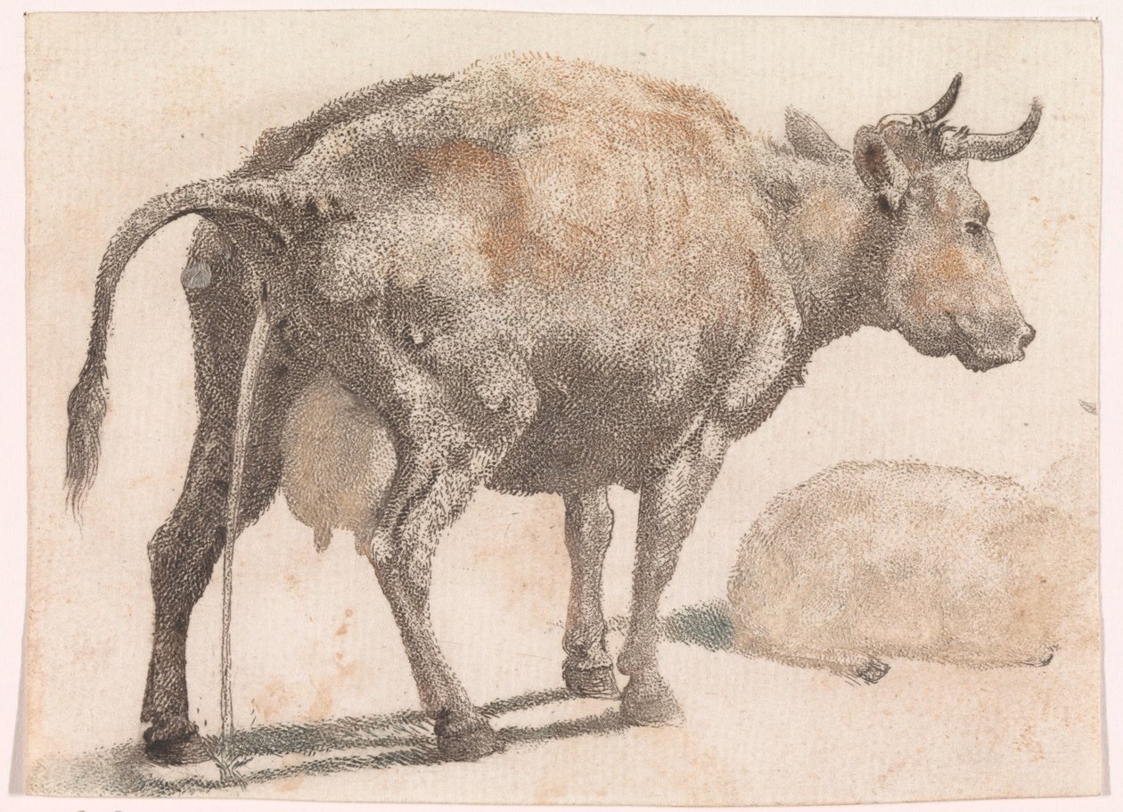 Pissing cow by Anonymous
