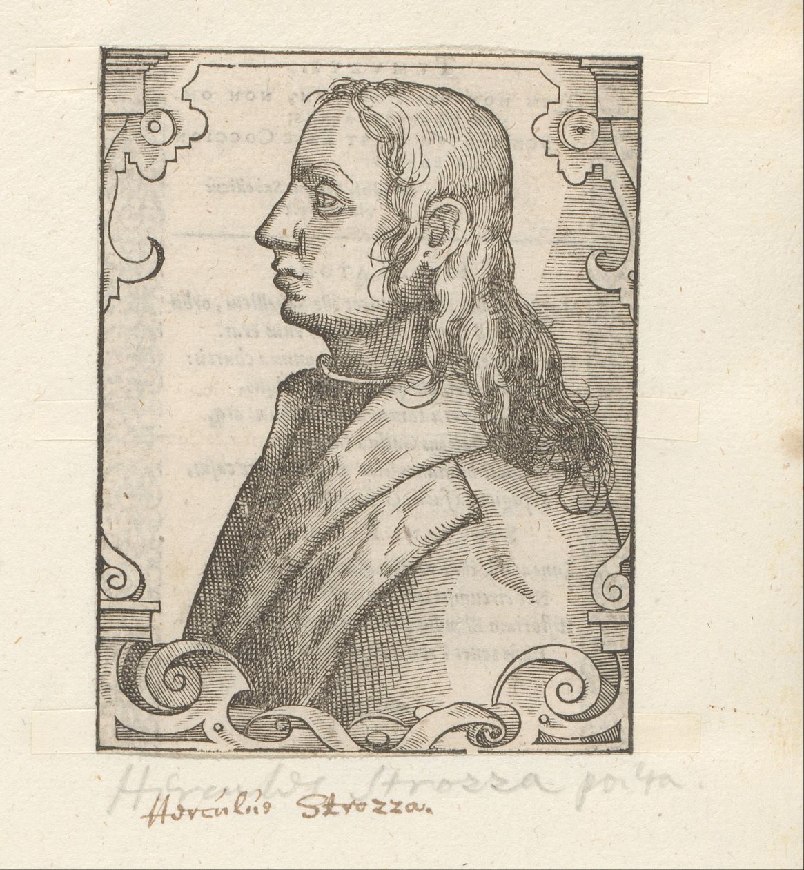 Portrait of Ercole Strozzi by Anonymous