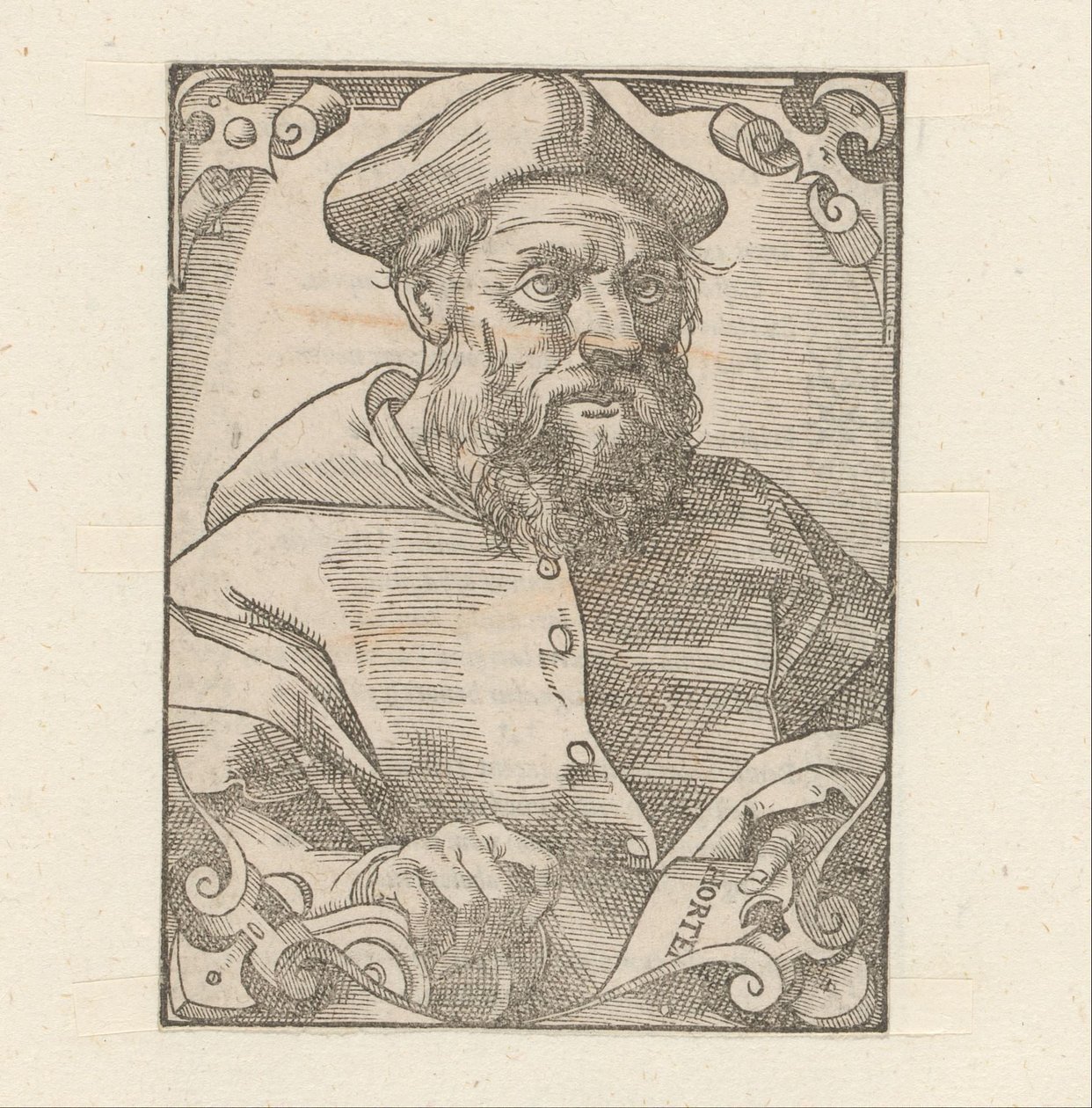 Portrait of Jacopo Sadoleto by Anonymous