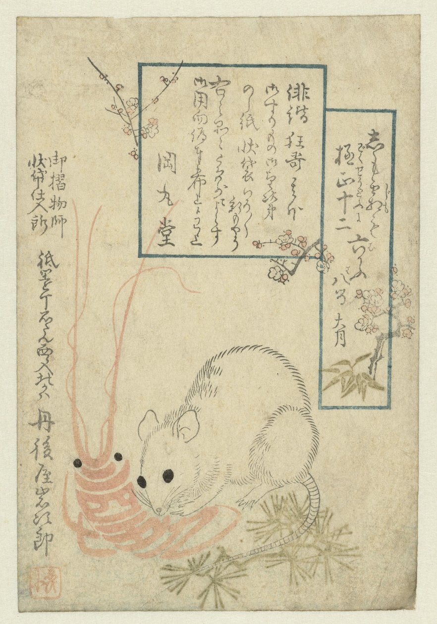 Rat with Crayfish by Anonymous