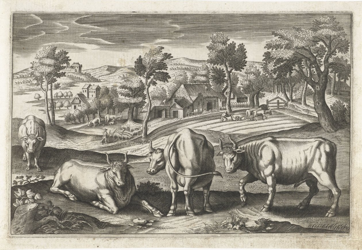 Cattle (Four-Legged Animals) (Animalivm Qvaddrvpedvm) by Anonymous