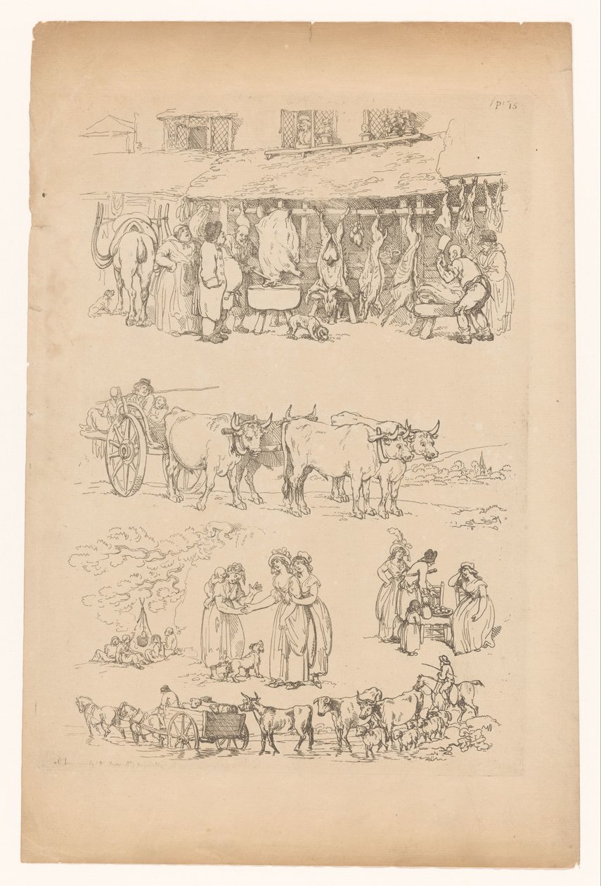 Scenes from Country Life by Anonymous