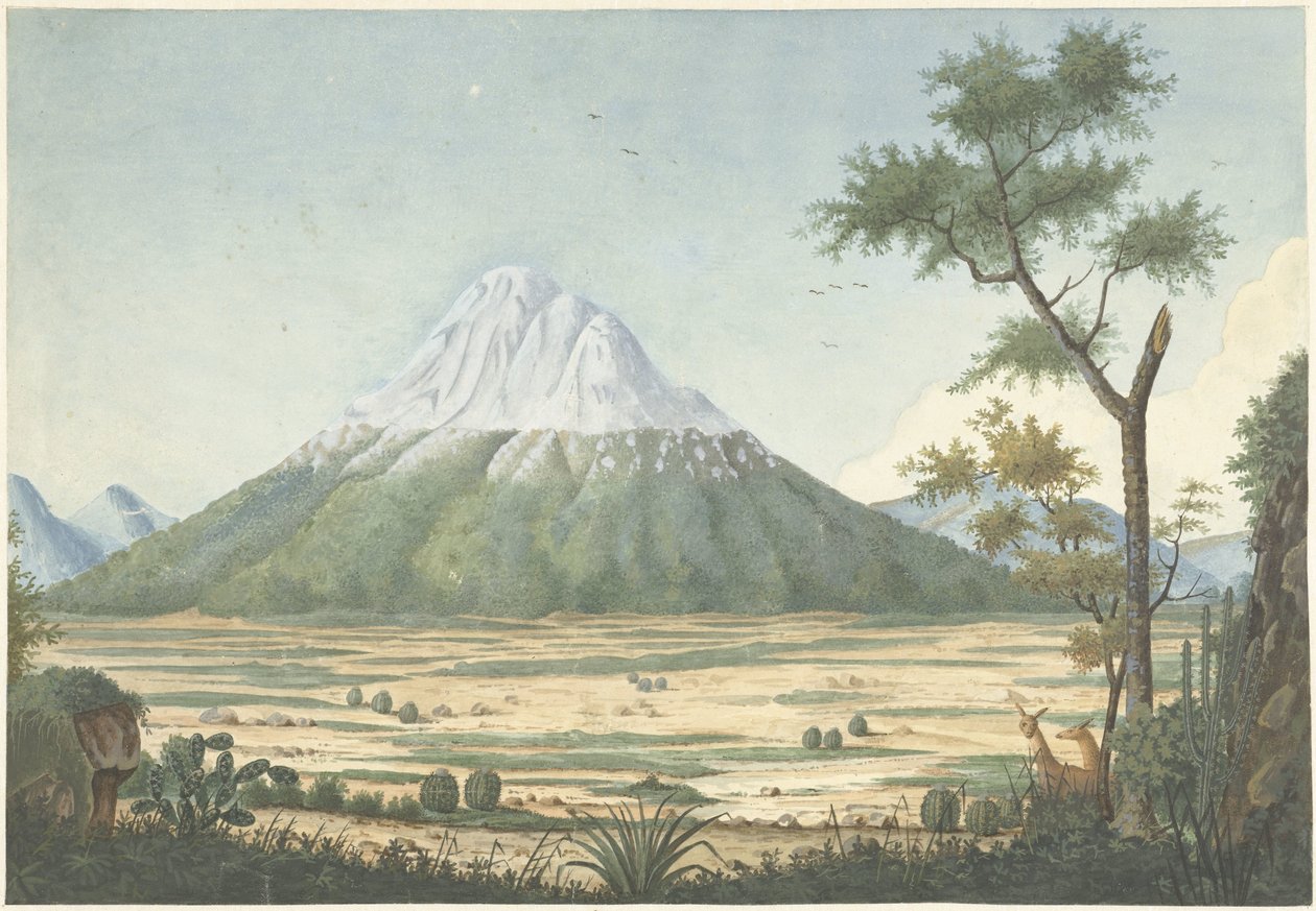 Tropical Landscape with Mountains by Anonymous