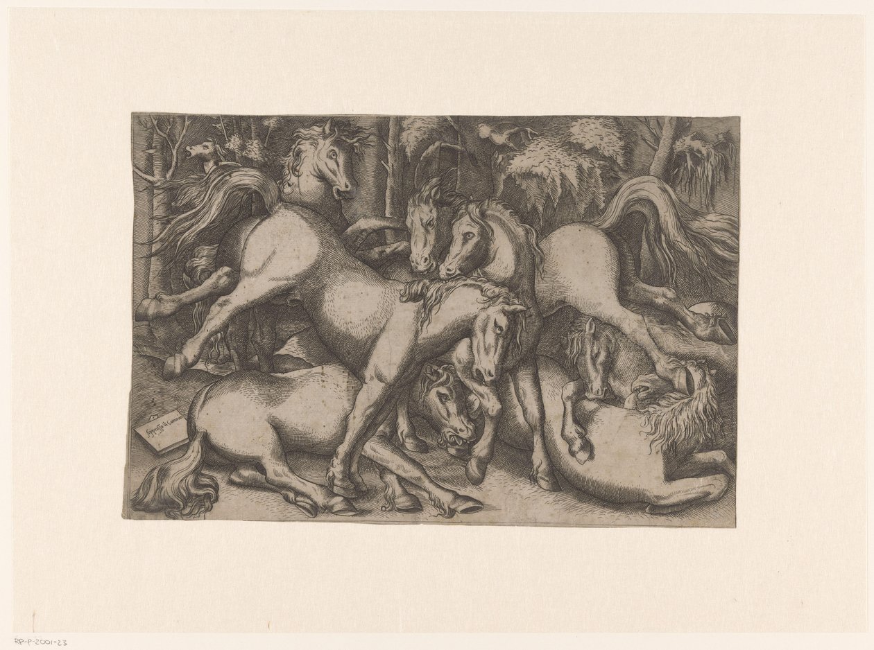 Fighting Horses by Anonymous