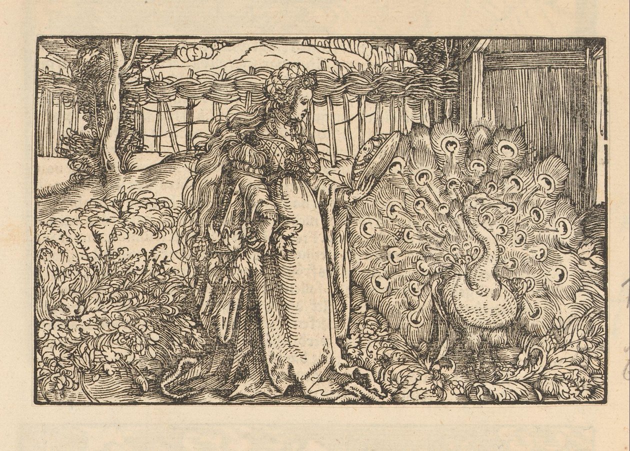 Woman with a Peacock Looking at Herself in a Hand Mirror by Anonymous