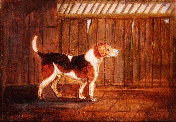 A Hound by Anonymous Anonymous