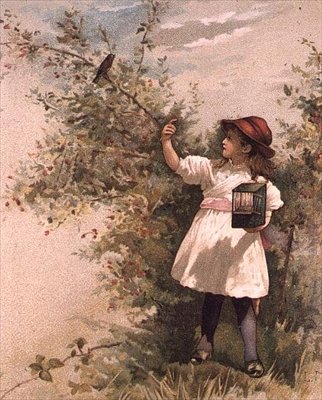 Enticing a Robin by Anonymous Anonymous
