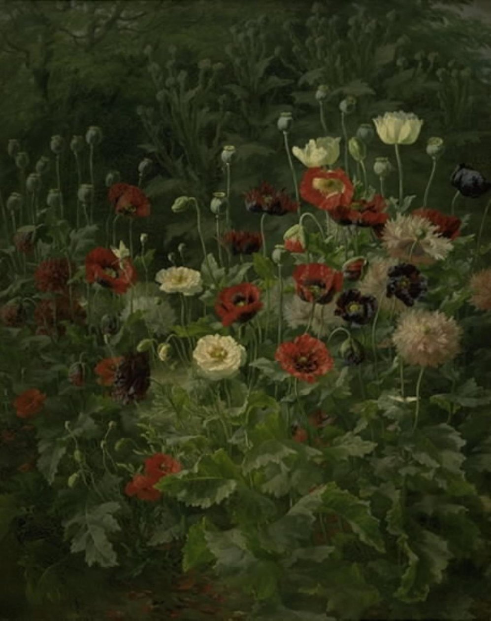 Poppies by Anthonie Christensen