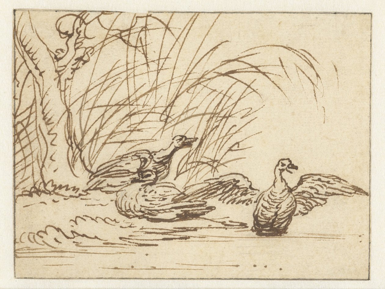Three ducks by the waterside by Anthonie van Borssom