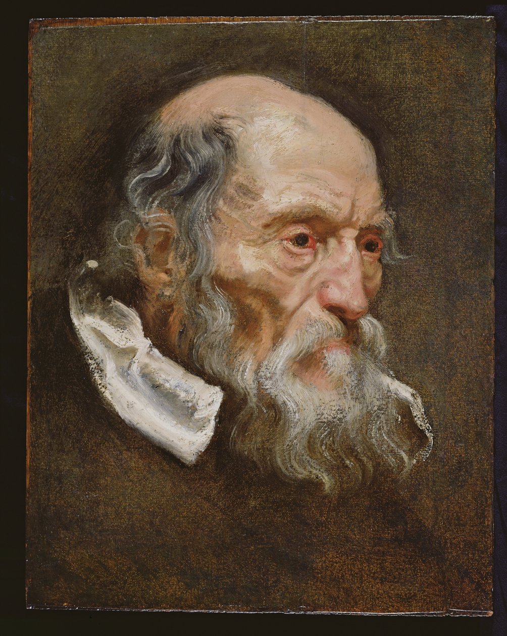 Portrait of an Old Man by Anthony van Dyck
