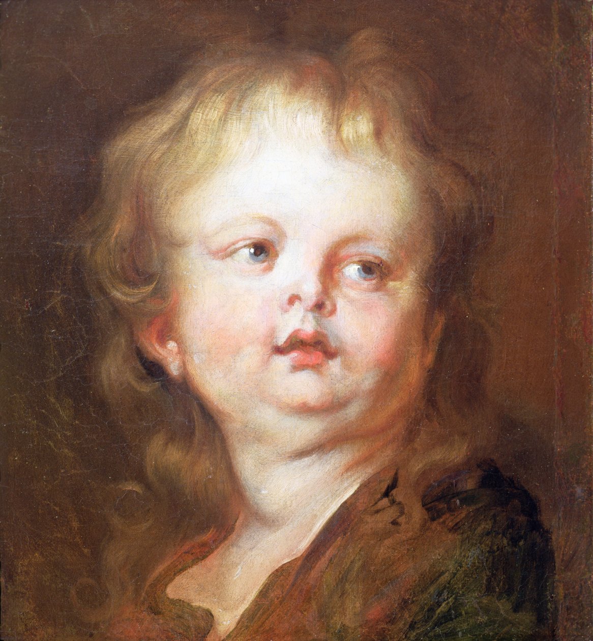 Head of a Boy by Anthony van Dyck