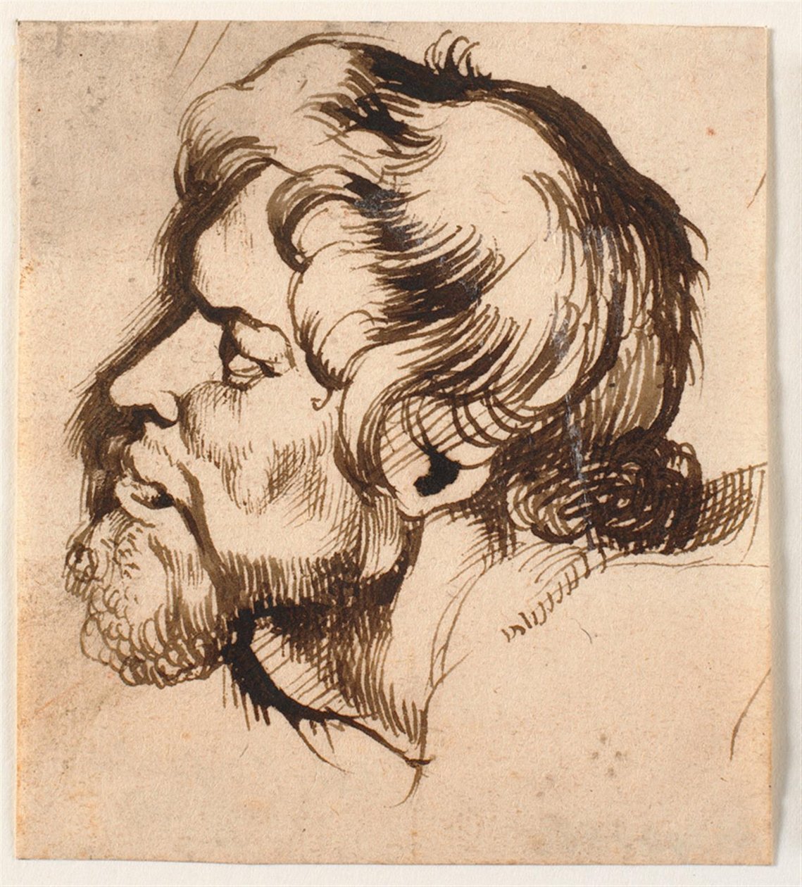 Head of a Man by Anthony van Dyck
