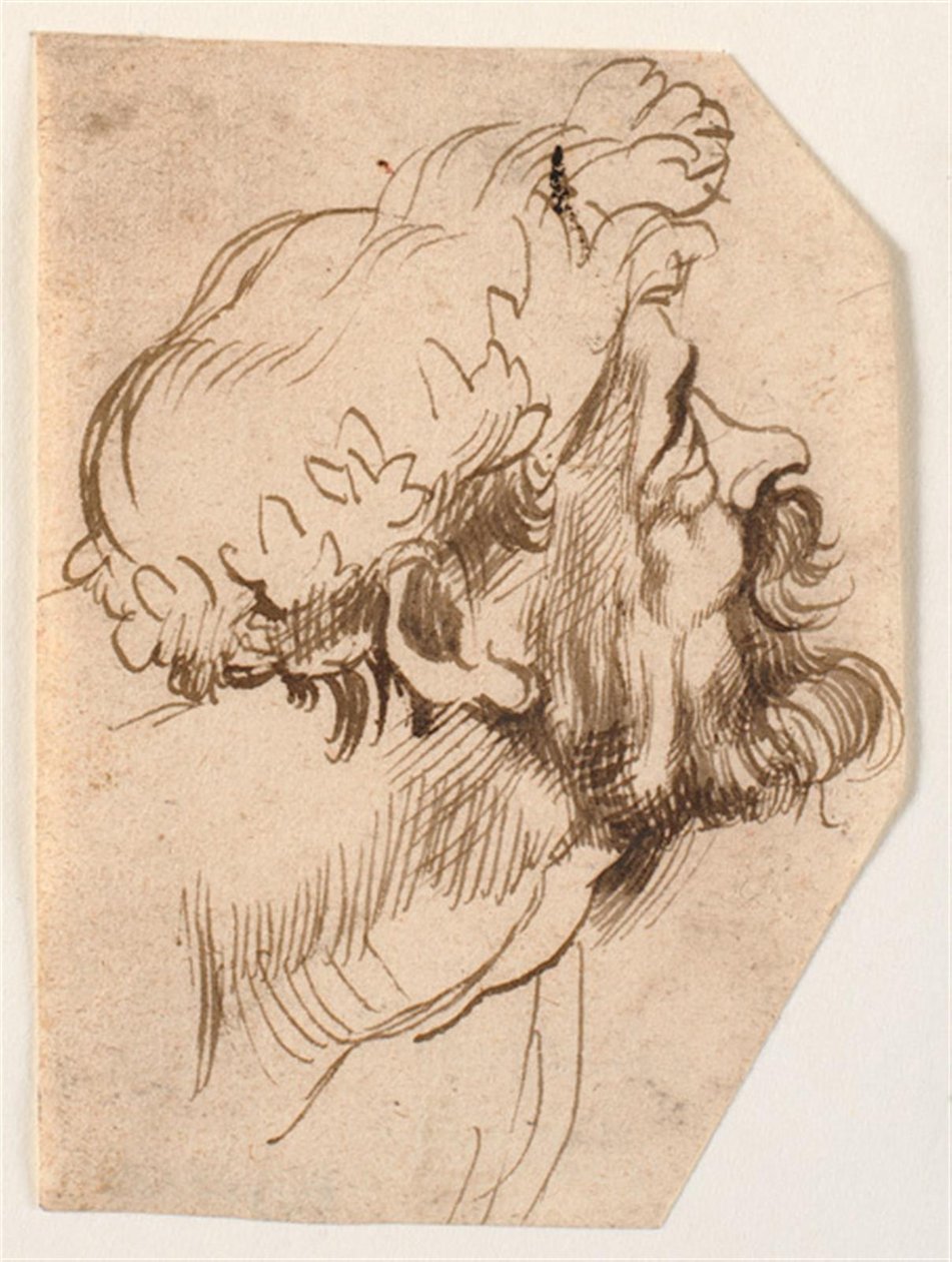 The Head of a Man by Anthony van Dyck