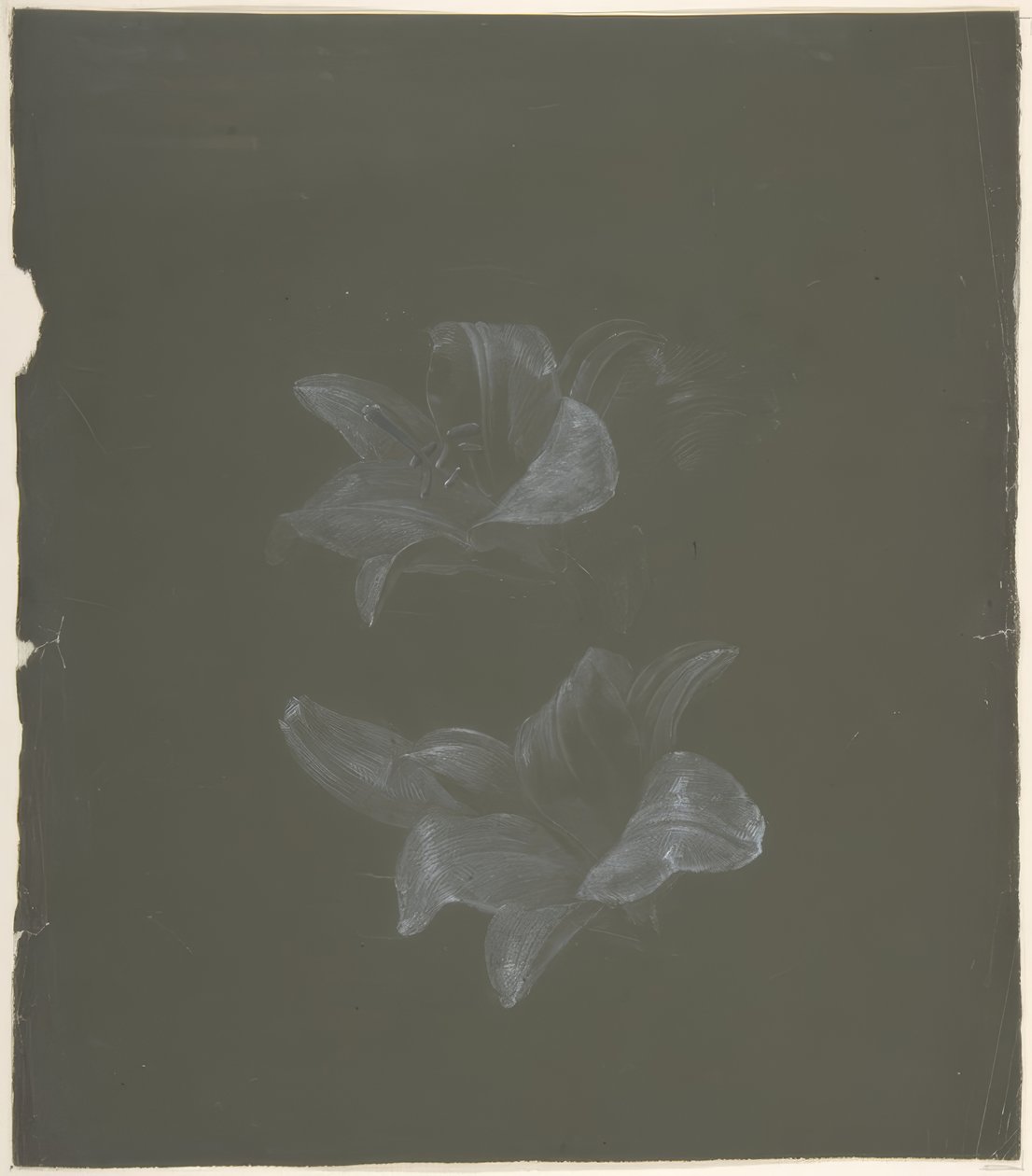 Floral Design by Antoine Berjon