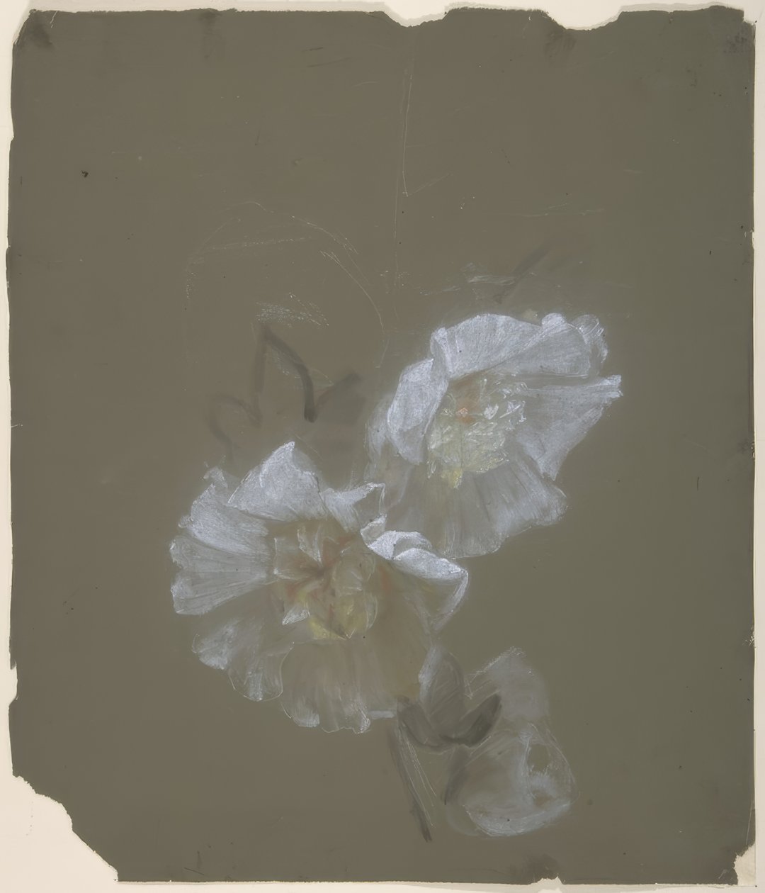 Floral Design by Antoine Berjon