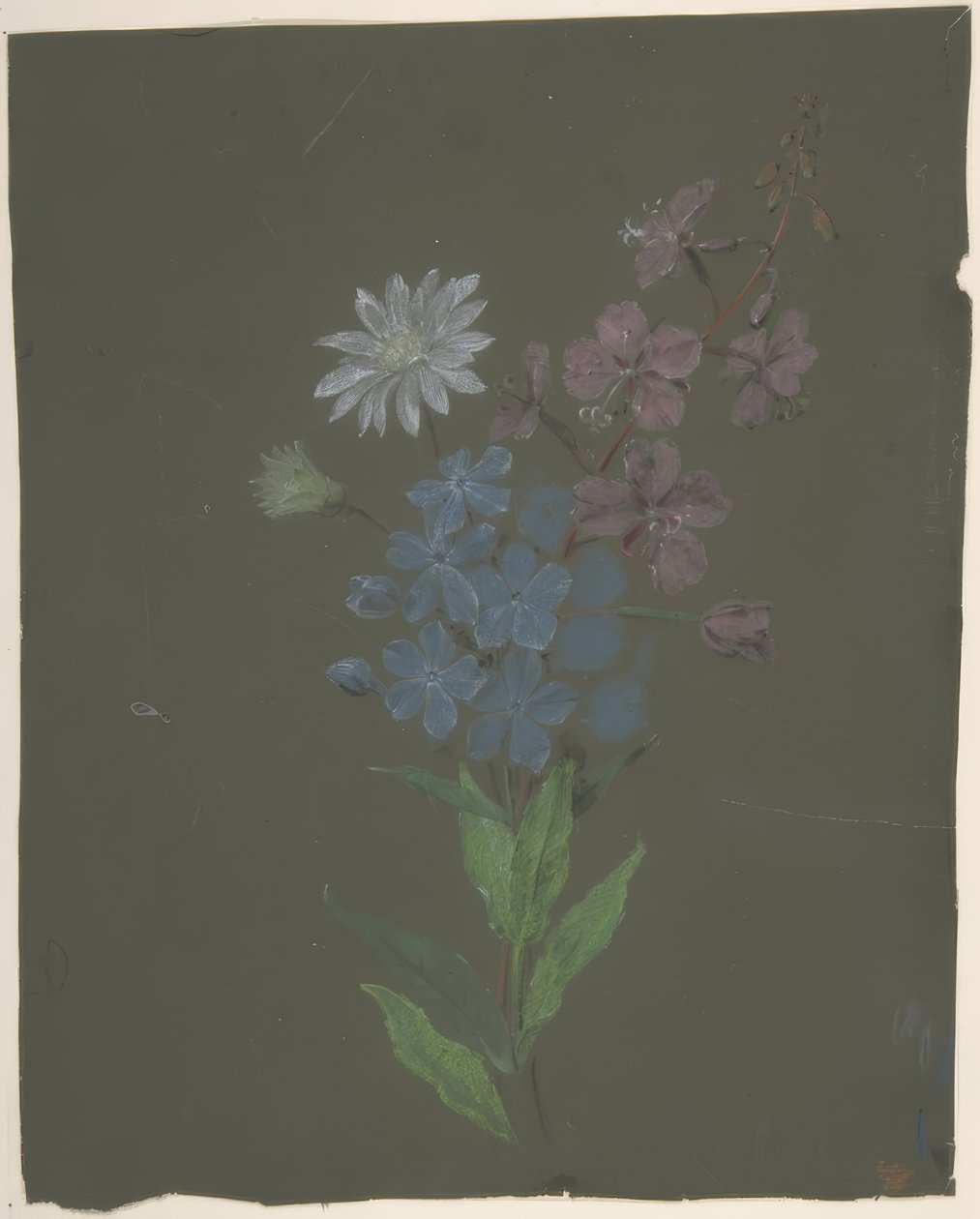 Floral Design by Antoine Berjon