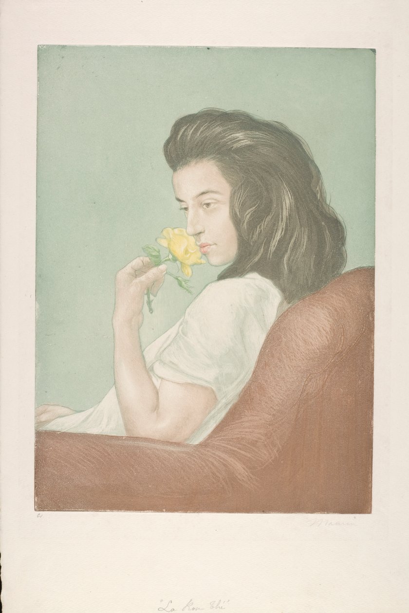 The Tea Rose (colour etching) by Antoine Maurin