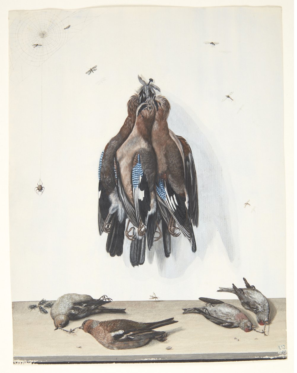 Still Life with Birds by Anton Ignaz Hamilton