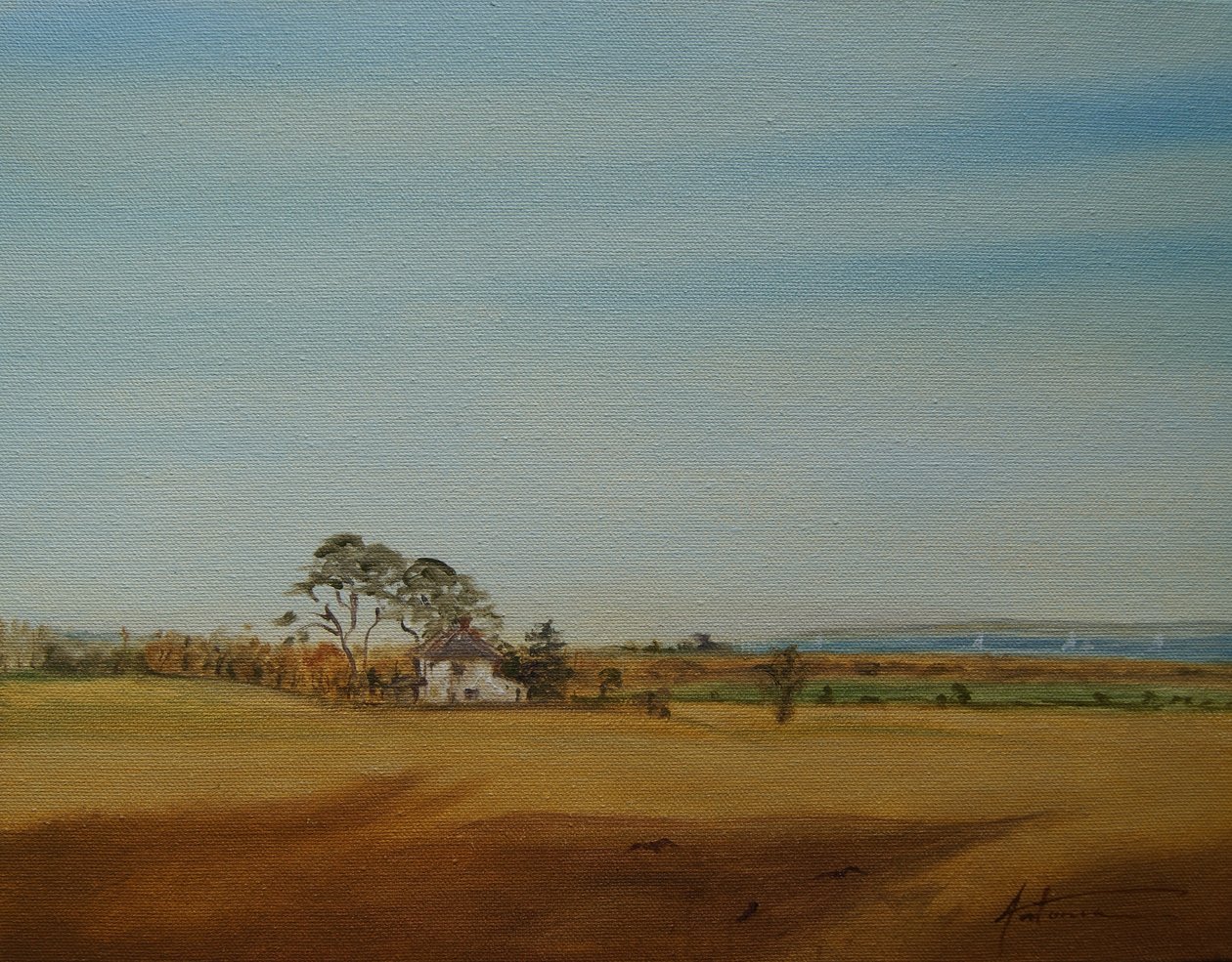 House and Fields by Antonia Myatt