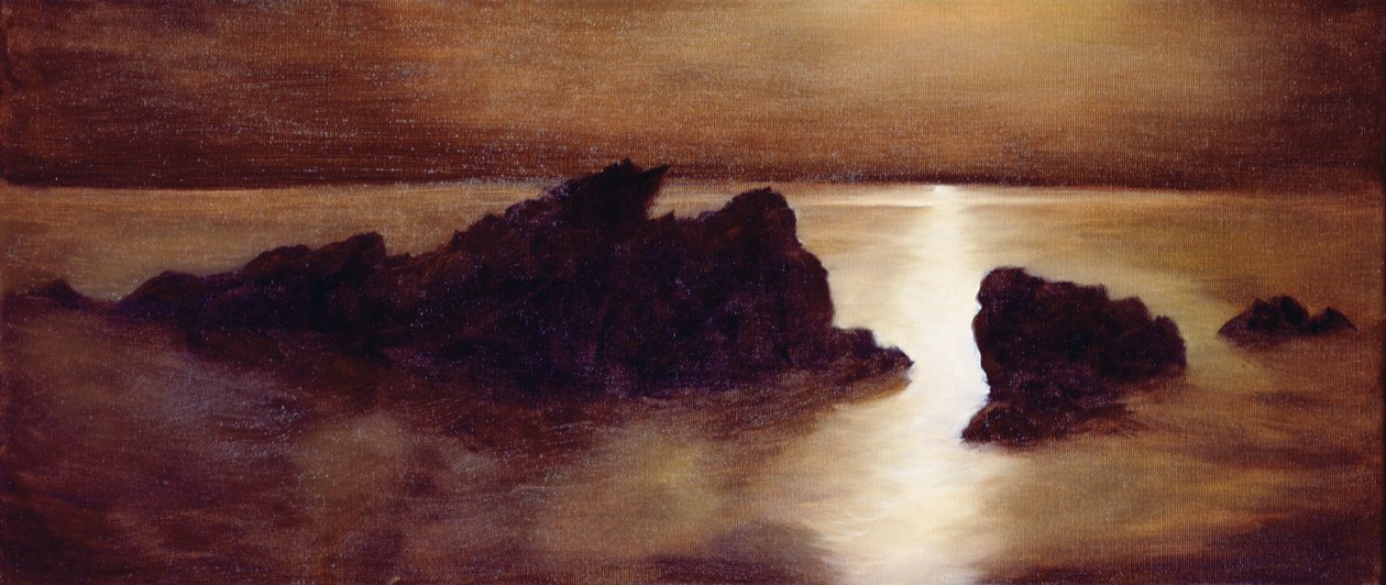 Moonlight by Antonia Myatt