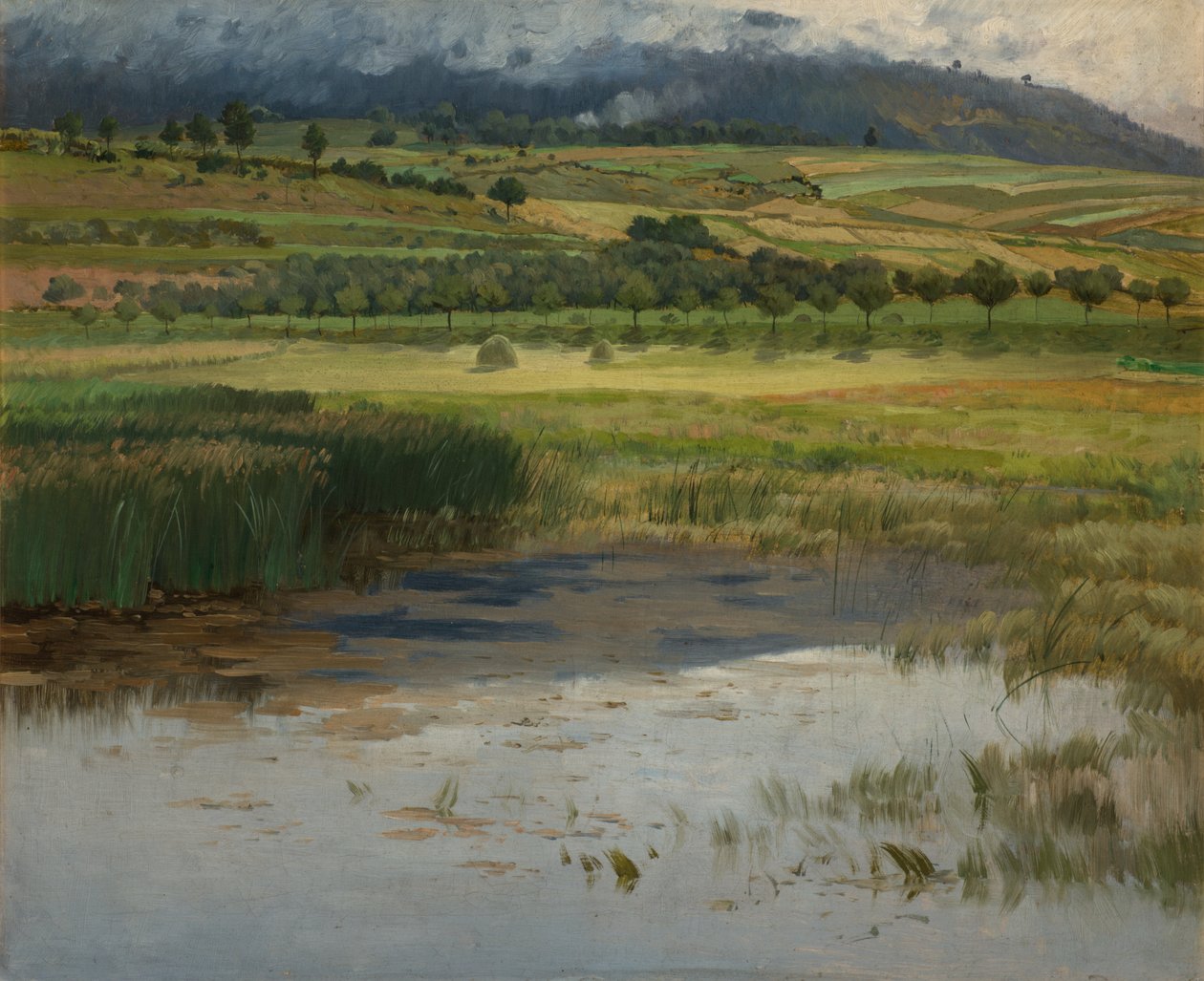 The Drowned Pond by Antonin Chittussi