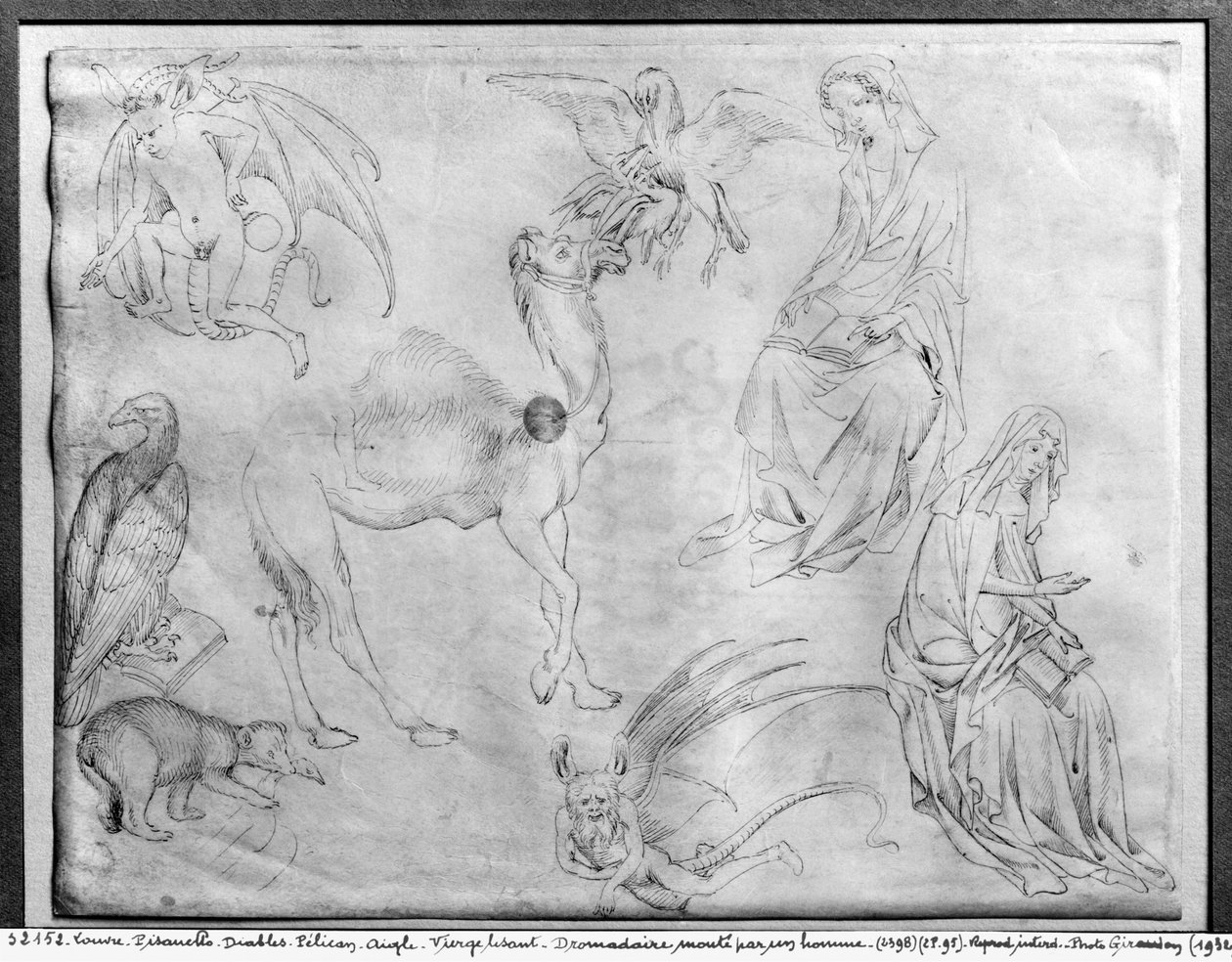 Sheet of Studies by Antonio Pisanello