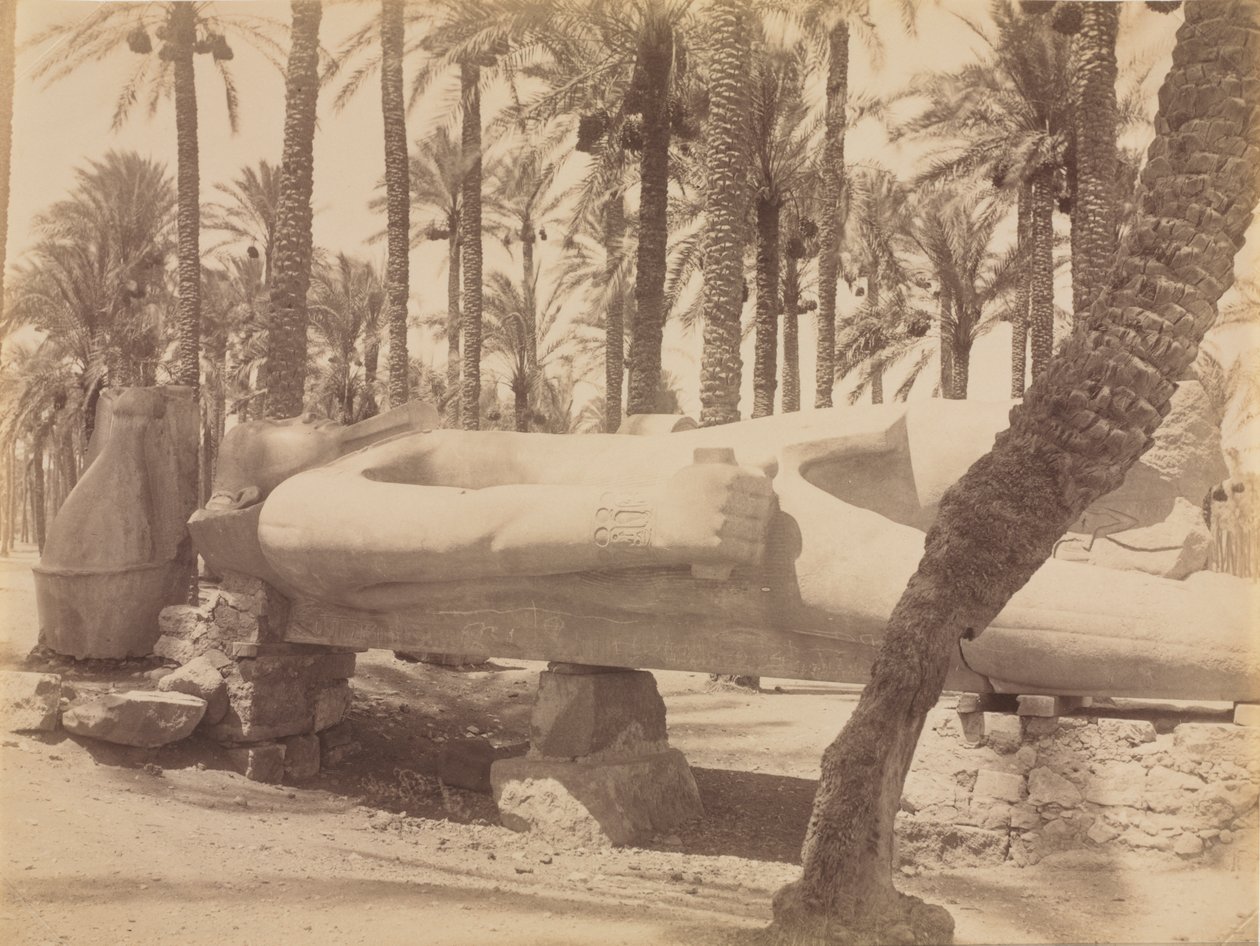 Statue of Ramesses at Saqqara by Antonio Beato