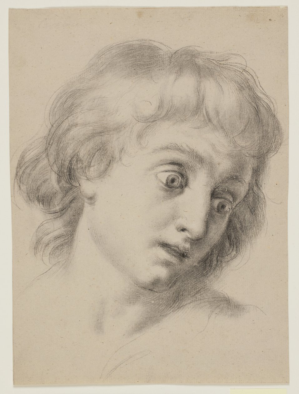 Head of a Boy by Antonio Cavallucci