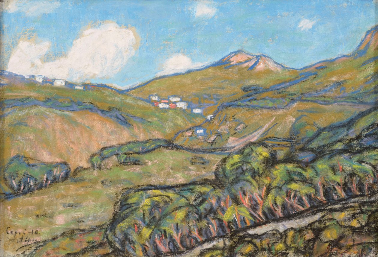 Capri Landscape by Ants Laikmaa