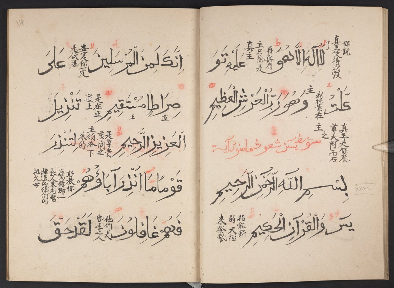Quran, BL IO Islamic 3440, f.13v-14r by Arabic School