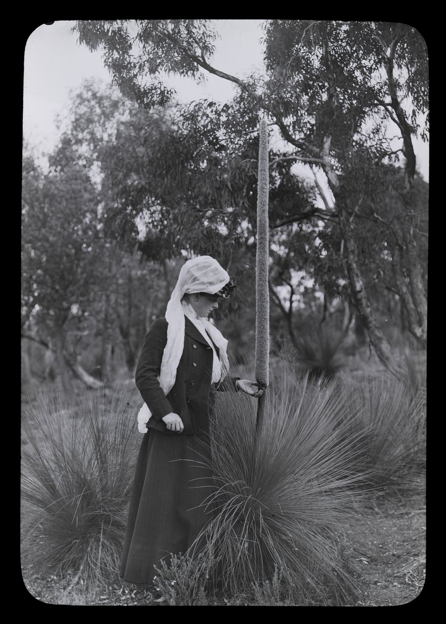Amy and Xanthorrhoea by Archibald James Campbell