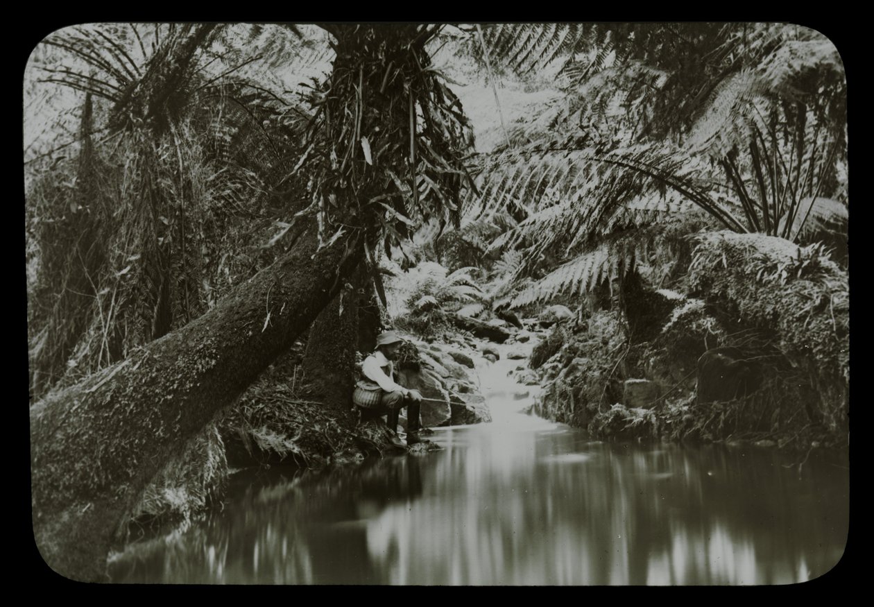 Fishing Pool, Sassafras Gully by Archibald James Campbell