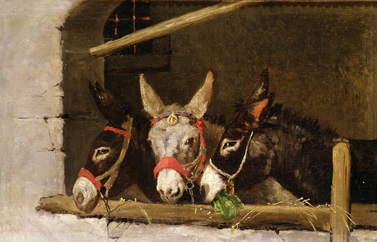 Donkeys Feeding by Arthur Batt