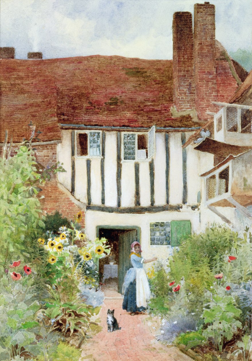 Butterflies by Arthur Claude Strachan