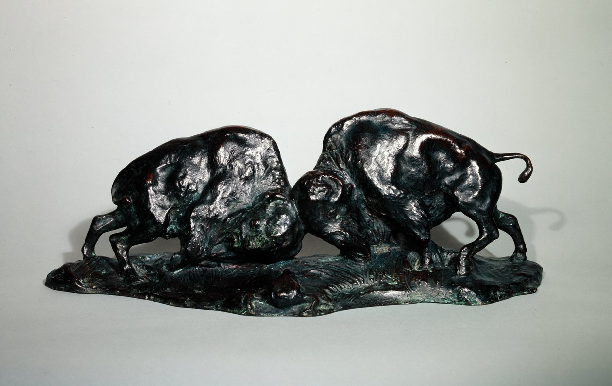 Two Fighting Buffalo, 1900 by Arthur Putnam